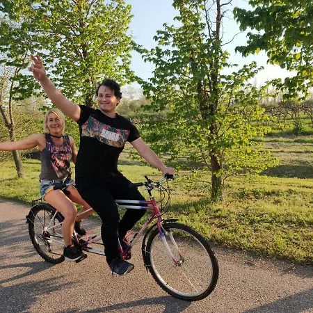 Kikapcs Apartamento Alsóörs