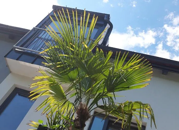 Kikapcs Apartment