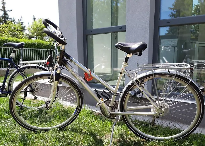 Kikapcs * Альшоэрш