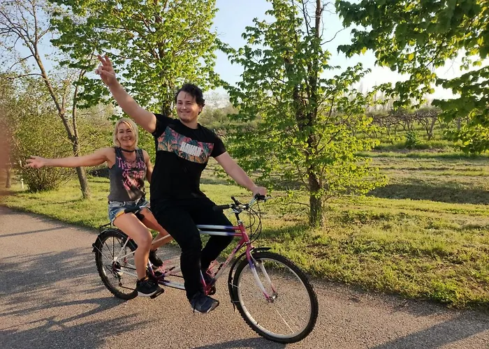 Kikapcs Lejlighed Alsóörs